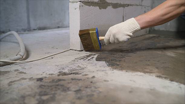 SJ Waterproofing Pros Waterproofing coverage map for Arcade, GA and surrounding area